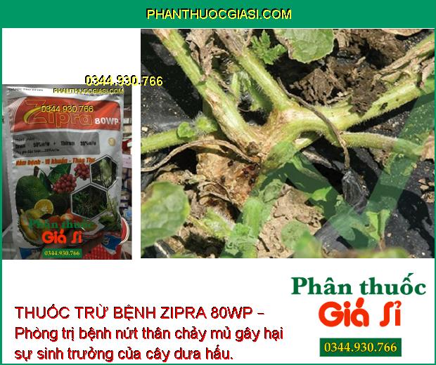 THUỐC TRỪ BỆNH ZIPRA 80WP – Phòng Trị Bệnh Thán Thư - Rỉ Sắt - Mốc Sương - Nứt Thân Chảy Mủ - Khô Vằn