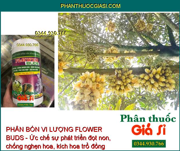PHÂN BÓN VI LƯỢNG FLOWER BUDS - Tạo Mầm Hoa - Chống Nghẹn Hoa - Bung Hoa Mạnh
