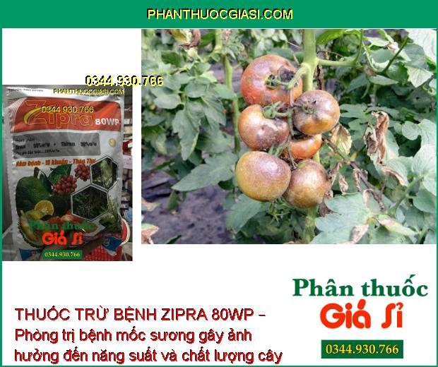 THUỐC TRỪ BỆNH ZIPRA 80WP – Phòng Trị Bệnh Thán Thư - Rỉ Sắt - Mốc Sương - Nứt Thân Chảy Mủ - Khô Vằn