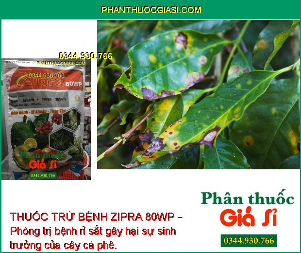 THUỐC TRỪ BỆNH ZIPRA 80WP – Phòng Trị Bệnh Thán Thư - Rỉ Sắt - Mốc Sương - Nứt Thân Chảy Mủ - Khô Vằn