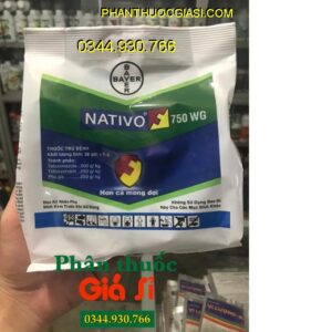 NATIVO 750WG - Đặc Trị Bệnh Đạo Ôn - Lem Lép Hạt - Thán Thư - Rỉ Sắt - Đốm Vòng