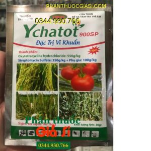 YCHATOT 900SP - Đặc Trị Bệnh Cháy Bìa Lá - Đen Bông - Héo Xanh - Thối Thân