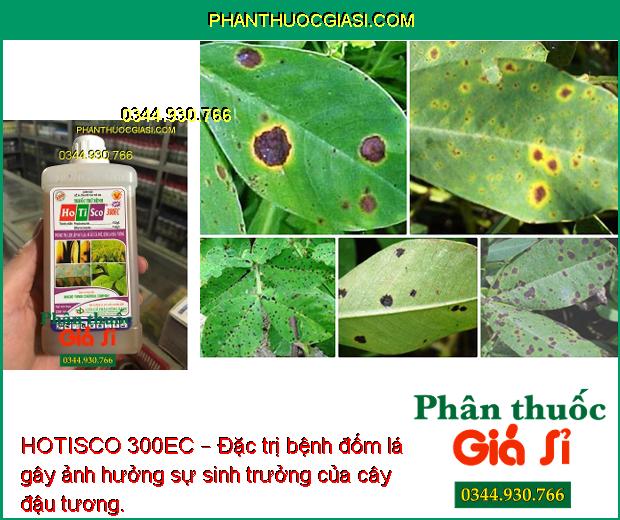 HOTISCO 300EC – Đặc Trị Bệnh Lem Lép Hạt - Đốm Lá - Rỉ Sắt