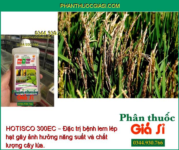 HOTISCO 300EC – Đặc Trị Bệnh Lem Lép Hạt - Đốm Lá - Rỉ Sắt