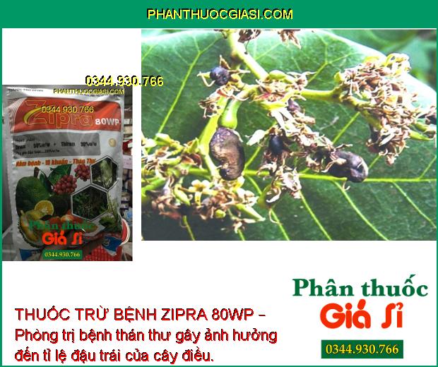 THUỐC TRỪ BỆNH ZIPRA 80WP – Phòng Trị Bệnh Thán Thư - Rỉ Sắt - Mốc Sương - Nứt Thân Chảy Mủ - Khô Vằn