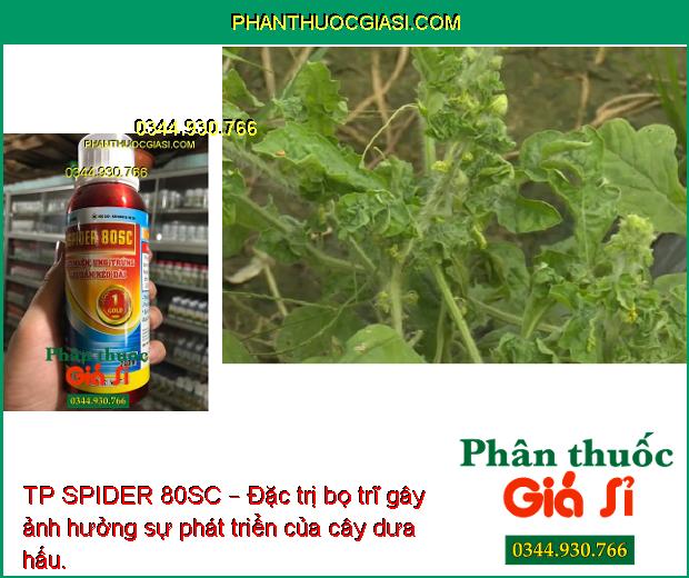 TP SPIDER 80SC – Đặc Trị Nhện Gây Hại Cây Trồng