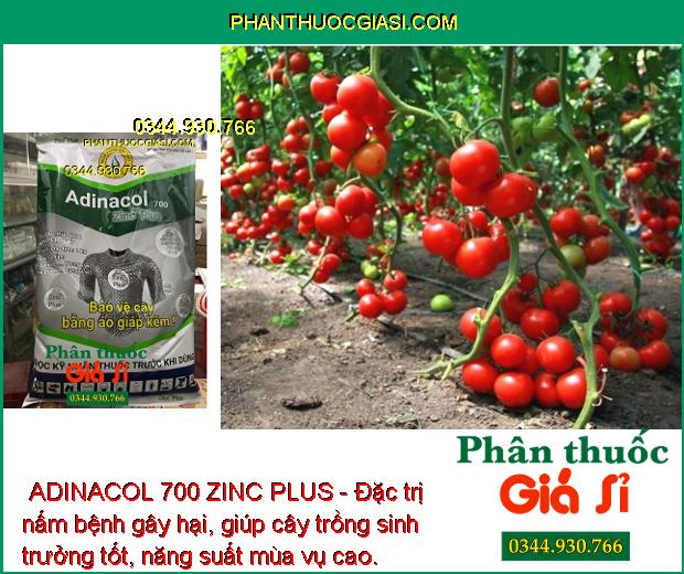 THUỐC TRỪ NẤM BỆNH ADINACOL 700 ZINC PLUS - Đặc Trị Bệnh Đốm Vòng - Thán Thư - Lem Lép Hạt