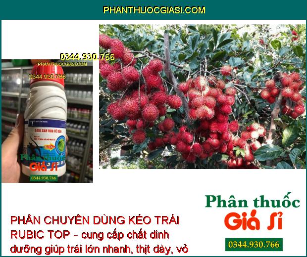 PHÂN CHUYÊN DÙNG KÉO TRÁI RUBIC TOP – Kéo Trái Nhanh - Trái Ngọt - Năng Suất