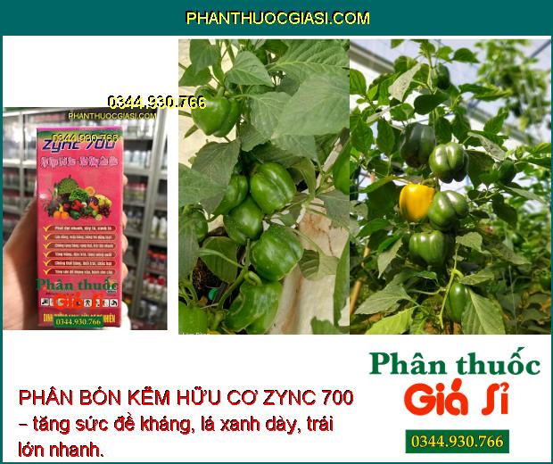 PHÂN BÓN KẼM HỮU CƠ ZYNC 700 – Phát Đọt Nhanh - Xanh Lá - Chống Rụng Bông - Thối Bông - Tăng Đề Kháng