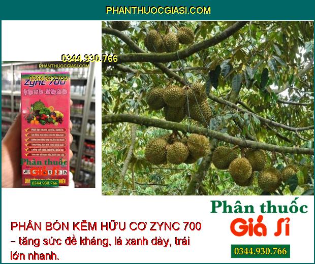 PHÂN BÓN KẼM HỮU CƠ ZYNC 700 – Phát Đọt Nhanh - Xanh Lá - Chống Rụng Bông - Thối Bông - Tăng Đề Kháng