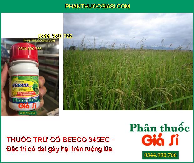 THUỐC TRỪ CỎ BEECO 345EC – Đặc trị cỏ dại gây hại trên ruộng lúa.