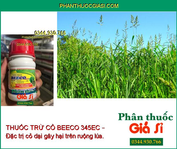 THUỐC TRỪ CỎ BEECO 345EC – Đặc trị cỏ dại gây hại trên ruộng lúa.