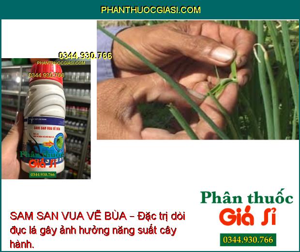 SAM SAN VUA VẼ BÙA – Đặc Trị Sâu Vẽ Bùa Hại Cây Trồng