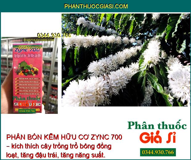 PHÂN BÓN KẼM HỮU CƠ ZYNC 700 – Phát Đọt Nhanh - Xanh Lá - Chống Rụng Bông - Thối Bông - Tăng Đề Kháng