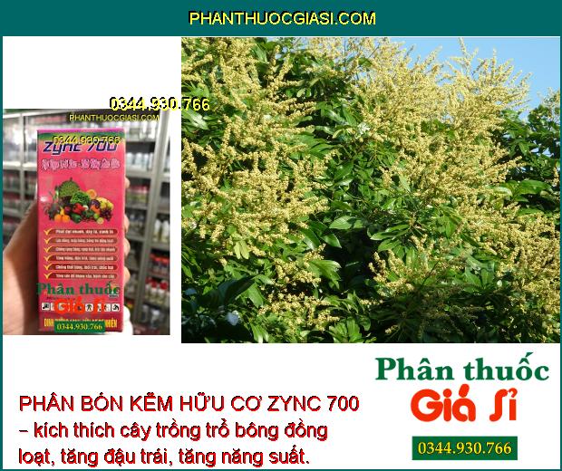 PHÂN BÓN KẼM HỮU CƠ ZYNC 700 – Phát Đọt Nhanh - Xanh Lá - Chống Rụng Bông - Thối Bông - Tăng Đề Kháng