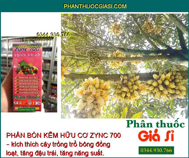 PHÂN BÓN KẼM HỮU CƠ ZYNC 700 – Phát Đọt Nhanh - Xanh Lá - Chống Rụng Bông - Thối Bông - Tăng Đề Kháng