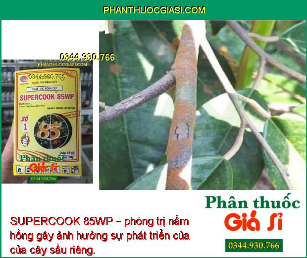 SUPERCOOK 85WP – Quét Sạch Tảo Và Rong Rêu