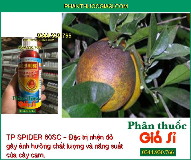 TP SPIDER 80SC – Đặc Trị Nhện Gây Hại Cây Trồng