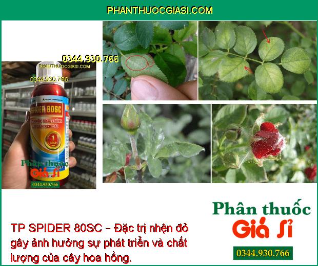 TP SPIDER 80SC – Đặc Trị Nhện Gây Hại Cây Trồng