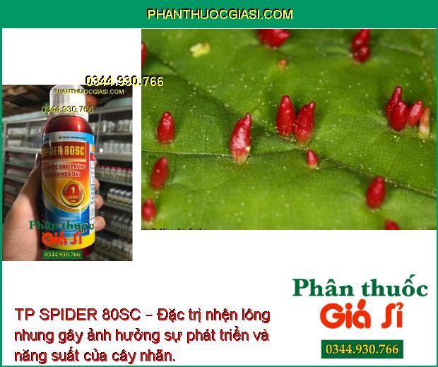 TP SPIDER 80SC – Đặc Trị Nhện Gây Hại Cây Trồng