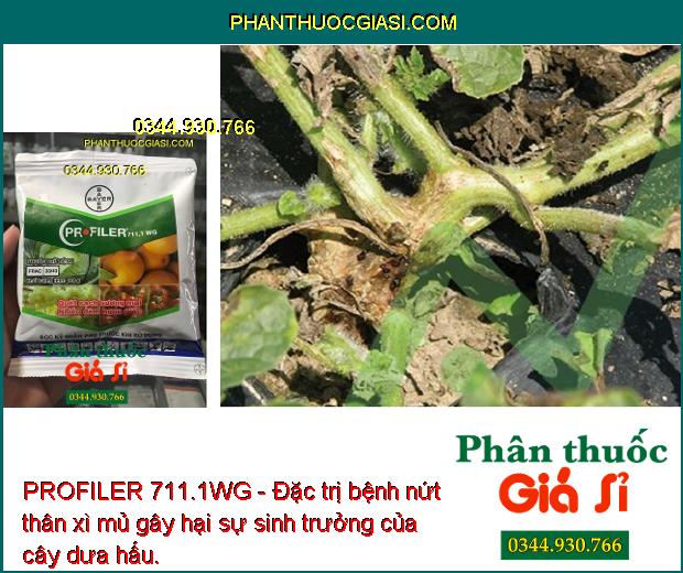 PROFILER 711.1WG - Đặc Trị Bệnh Sương Mai - Nứt Thân Xì Mủ - Chảy Nhựa 