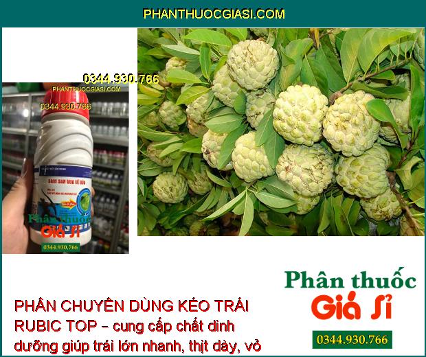 PHÂN CHUYÊN DÙNG KÉO TRÁI RUBIC TOP – Kéo Trái Nhanh - Trái Ngọt - Năng Suất