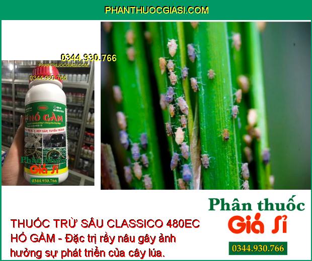 THUỐC TRỪ SÂU CLASSICO 480EC HỔ GẦM - Đặc Trị Rệp Sáp - Bọ Nhảy - Rầy Xanh - Sâu Cuốn Lá - Rầy Nâu