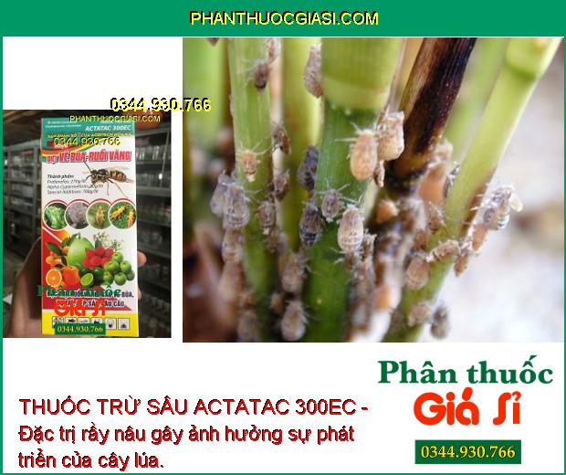 THUỐC TRỪ SÂU ACTATAC 300EC- Đặc Trị Sâu Cuốn Lá - Rầy Nâu - Nhện Gié - Sâu Xanh Da Láng - Sâu Vẽ Bùa