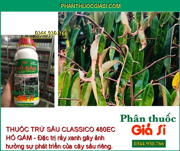 THUỐC TRỪ SÂU CLASSICO 480EC HỔ GẦM - Đặc Trị Rệp Sáp - Bọ Nhảy - Rầy Xanh - Sâu Cuốn Lá - Rầy Nâu