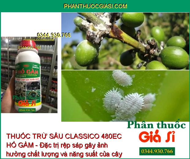 THUỐC TRỪ SÂU CLASSICO 480EC HỔ GẦM - Đặc Trị Rệp Sáp - Bọ Nhảy - Rầy Xanh - Sâu Cuốn Lá - Rầy Nâu