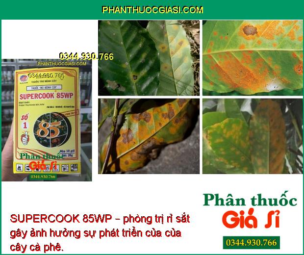 SUPERCOOK 85WP – Quét Sạch Tảo Và Rong Rêu