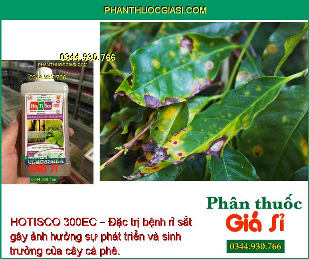 HOTISCO 300EC – Đặc Trị Bệnh Lem Lép Hạt - Đốm Lá - Rỉ Sắt