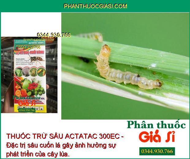 THUỐC TRỪ SÂU ACTATAC 300EC- Đặc Trị Sâu Cuốn Lá - Rầy Nâu - Nhện Gié - Sâu Xanh Da Láng - Sâu Vẽ Bùa