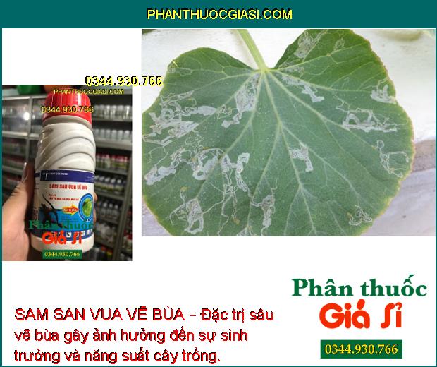 SAM SAN VUA VẼ BÙA – Đặc Trị Sâu Vẽ Bùa Hại Cây Trồng