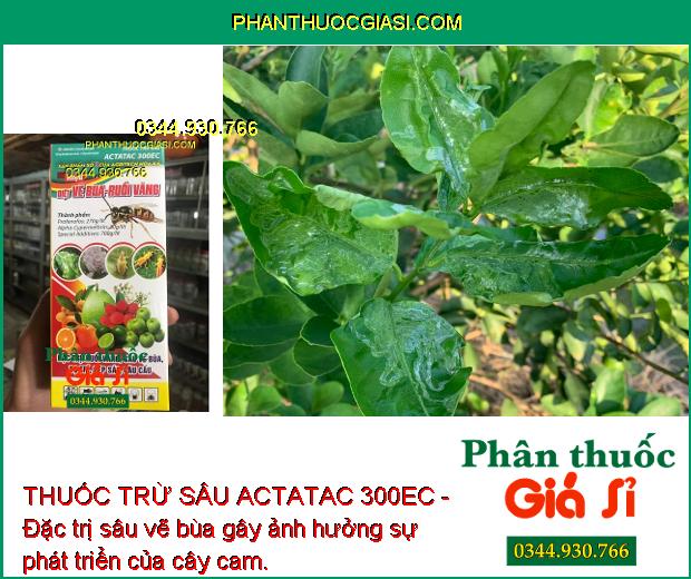 THUỐC TRỪ SÂU ACTATAC 300EC- Đặc Trị Sâu Cuốn Lá - Rầy Nâu - Nhện Gié - Sâu Xanh Da Láng - Sâu Vẽ Bùa