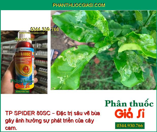 TP SPIDER 80SC – Đặc Trị Nhện Gây Hại Cây Trồng