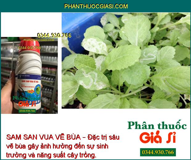 SAM SAN VUA VẼ BÙA – Đặc Trị Sâu Vẽ Bùa Hại Cây Trồng