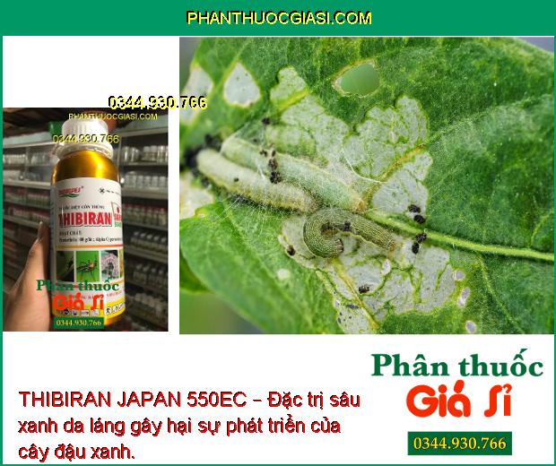 THIBIRAN JAPAN 550EC – Đặc Trị Sâu Cuốn Lá - Sâu Xanh Da Láng - Bọ Trĩ - Bọ Xít Muỗi - Rầy Thánh Giá