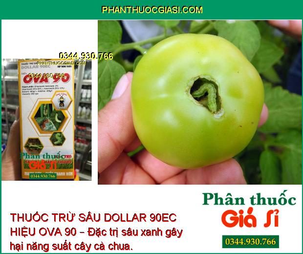 THUỐC TRỪ SÂU DOLLAR 90EC HIỆU OVA 90 – Đặc Trị Sâu Xanh - Sâu Tơ - Nhện Đỏ - Bọ Trĩ - Sâu Cuốn Lá