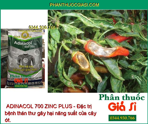 THUỐC TRỪ NẤM BỆNH ADINACOL 700 ZINC PLUS - Đặc Trị Bệnh Đốm Vòng - Thán Thư - Lem Lép Hạt