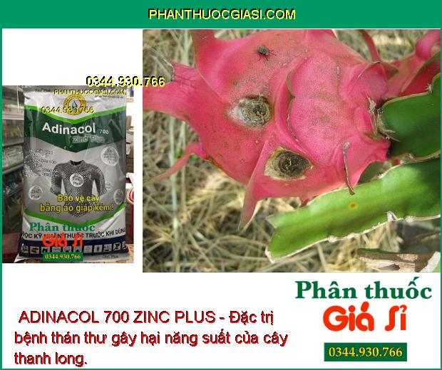 THUỐC TRỪ NẤM BỆNH ADINACOL 700 ZINC PLUS - Đặc Trị Bệnh Đốm Vòng - Thán Thư - Lem Lép Hạt