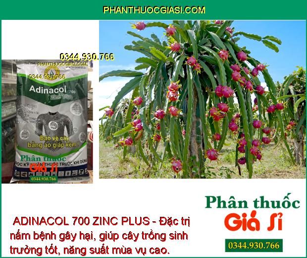 THUỐC TRỪ NẤM BỆNH ADINACOL 700 ZINC PLUS - Đặc Trị Bệnh Đốm Vòng - Thán Thư - Lem Lép Hạt