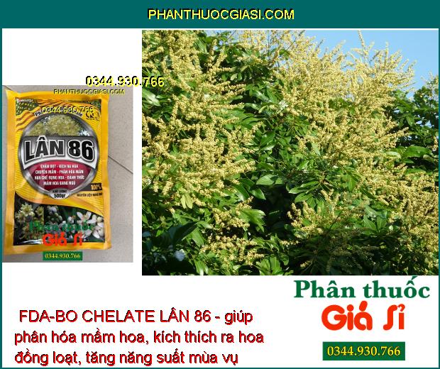 PHÂN BÓN VI LƯỢNG FDA-BO CHELATE LÂN 86 - Tăng Đề Kháng - Kích Ra Rễ - Tạo Mầm Hoa - Tăng Năng Suất