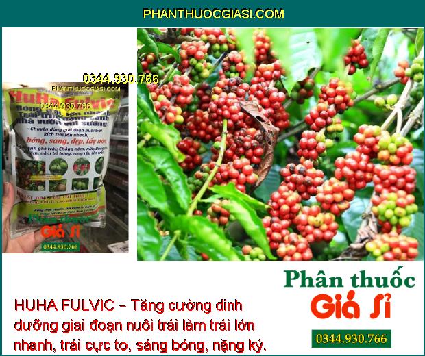 HUHA FULVIC – Dưỡng Trái Lớn Nhanh - Bóng Đẹp - Nặng Kí