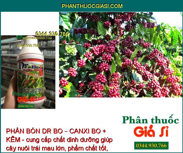 PHÂN BÓN DR BO – CANXI BO + KẼM - Hoa Khỏe - Tăng Đậu Trái - Trái Mau Lớn - Tăng Phẩm Chất Trái