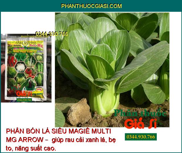 PHÂN BÓN LÁ SIÊU MAGIÊ MULTI MG ARROW – Nảy Chồi - Xanh Lá - Nâng Cao Chất Lượng Nông Sản