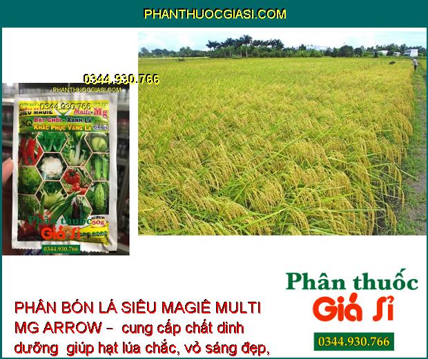 PHÂN BÓN LÁ SIÊU MAGIÊ MULTI MG ARROW – Nảy Chồi - Xanh Lá - Nâng Cao Chất Lượng Nông Sản