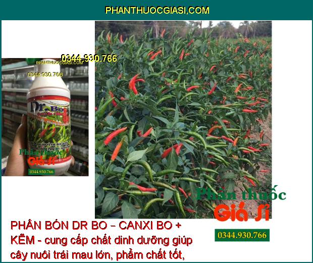 PHÂN BÓN DR BO – CANXI BO + KẼM - Hoa Khỏe - Tăng Đậu Trái - Trái Mau Lớn - Tăng Phẩm Chất Trái