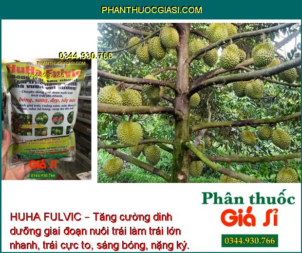 HUHA FULVIC – Dưỡng Trái Lớn Nhanh - Bóng Đẹp - Nặng Kí