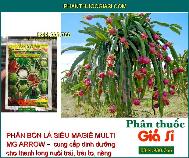 PHÂN BÓN LÁ SIÊU MAGIÊ MULTI MG ARROW – Nảy Chồi - Xanh Lá - Nâng Cao Chất Lượng Nông Sản